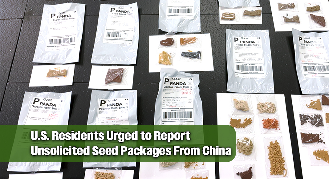 Texas Agriculture Commissioner Sid Miller and the Texas Department of Agriculture (TDA) urged Texans to remain vigilant as unsolicited packages containing unidentified seeds continue to arrive at their doorsteps. Image courtesy of TDA