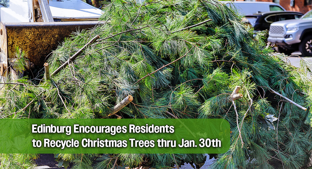The City of Edinburg is encouraging residents to take advantage of the Tree Recycling Program that helps transform their Christmas trees into mulch at designated drop-off locations. Image for illustration purposes