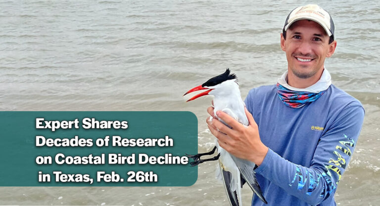 Coastal Bird Conservation Takes Center Stage at Quinta Mazatlán, Feb. 26th
