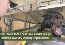 $3.2 Million Kennel Upgrade Enhances Care for Military Working Dogs