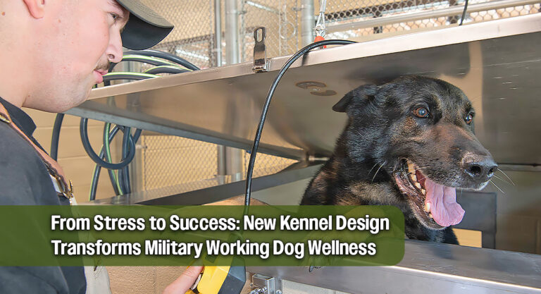 $3.2 Million Kennel Upgrade Enhances Care for Military Working Dogs