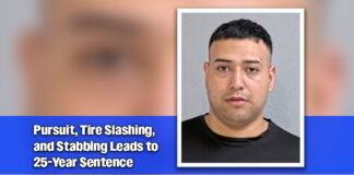 Edinburg Man Sentenced to 25 Years for Violent Road Rage Attack