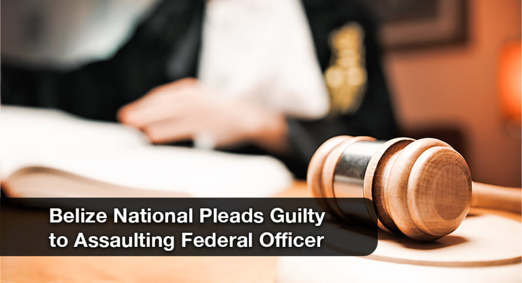 Houston Arrest Leads to Guilty Plea in Assault on ICE Agent