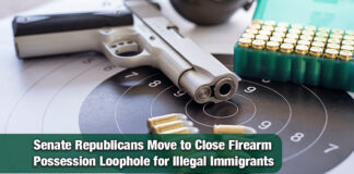Cornyn Introduces Bill to Stop Illegal Aliens from Possessing Firearms and Ammunition