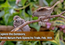 Olmito Nature Park to Celebrate Ribbon Cutting on February 14th