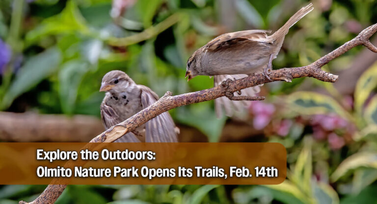 Olmito Nature Park to Celebrate Ribbon Cutting on February 14th