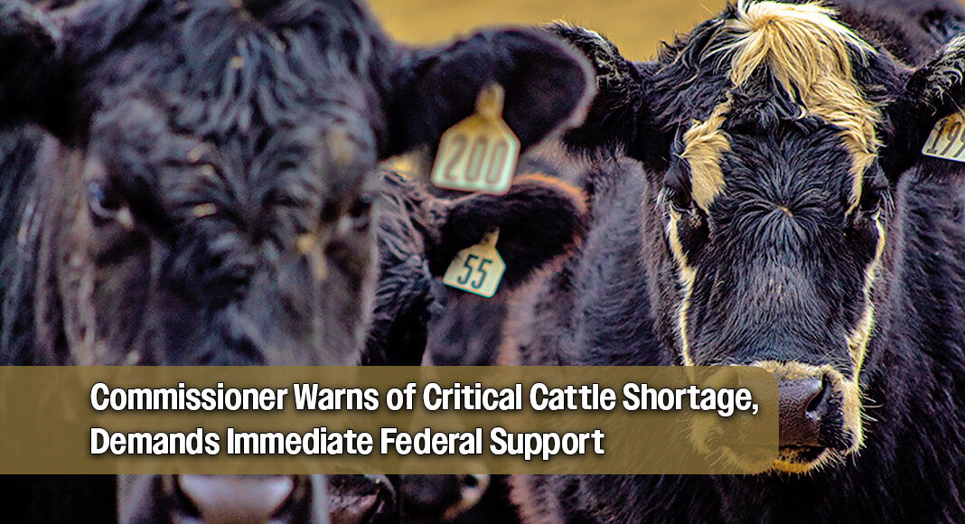 “The way we lower beef prices and restore affordability is by putting American beef first. That starts with rebuilding our cattle herd." --Comsioner Sid Miller. Image for illustration purposes