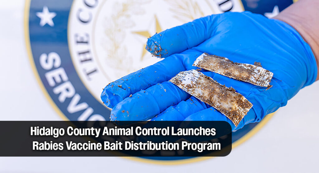 Pictured above are rabies vaccine bait pouches used in the Oral Rabies Vaccination Program. Image courtesy of Hidalgo County

