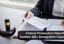 Western District of Texas Files 251 New Immigration-Related Cases in One Week