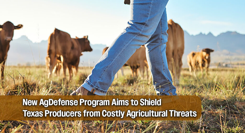 Texas Agriculture Commissioner Sid Miller today announced the opening of the Agricultural Defense Program (AgDefense), a new initiative administered in partnership with the Texas Agricultural Finance Authority (TAFA) to help protect Texas farmers and ranchers from costly threats posed by agricultural pests, diseases, and depredating animals. Image for illustration purposes 