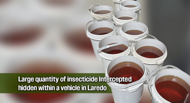 Commercial Quantity of Insecticide Seized at Juarez-Lincoln Bridge