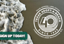 Sign Up for the 40th Annual Adopt-A-Beach Spring Coastwide Cleanup