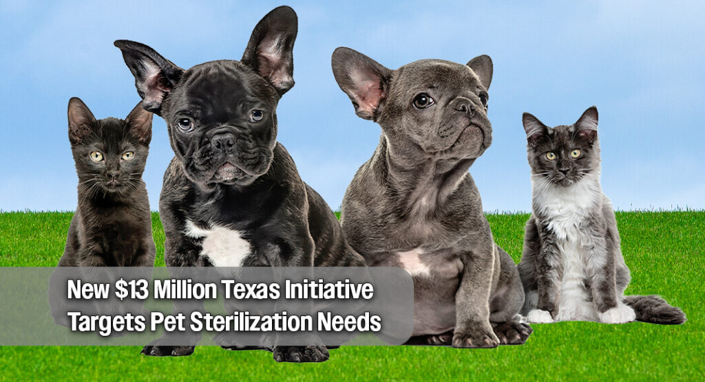 Texas DSHS Unveils Low‑Cost Spay and Neuter Program for Pets