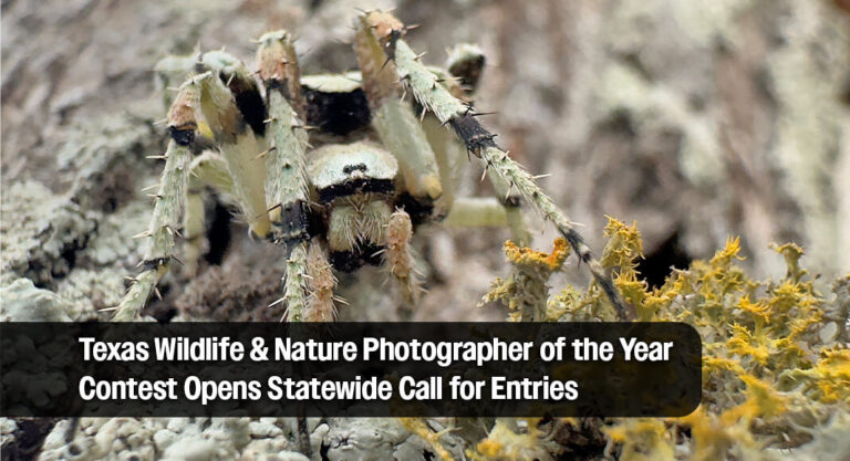 Entries Due June 7 for Texas Wildlife & Nature Photographer of the Year Contest