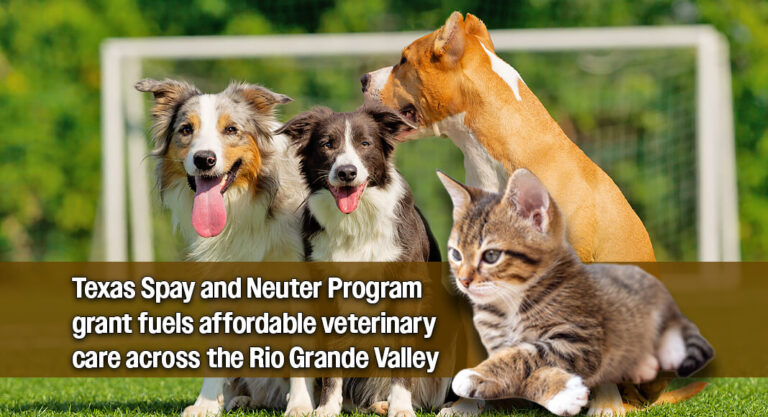 Palm Valley Animal Society Expands Low-Cost Spay/Neuter Access Across the RGV
