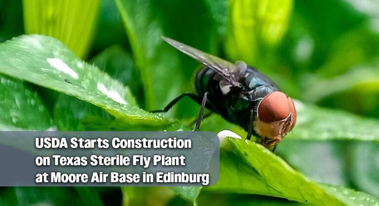 New Texas Sterile Fly Facility Breaks Ground in Edinburg