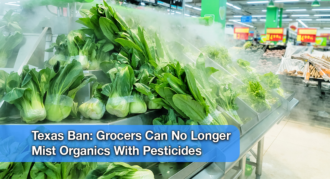 Attorney General Ken Paxton secured a settlement with Albertsons Safeway LLC (“Albertsons”), the parent company of over ten different grocery stores chains, successfully stopping the company’s practice of misting organic produce with synthetic pesticides. Image for illustration purposes