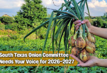 South Texas Onion Committee 2026–2027 Nominations Now Open