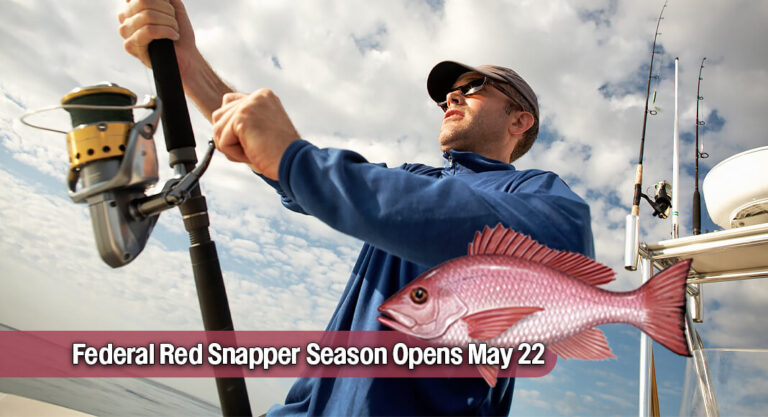 Federal Red Snapper Season Opens May 22