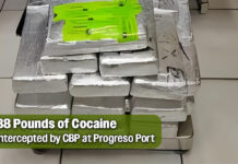 CBP Officers Seize more than $1.1M in Cocaine at the Progreso Port of Entry