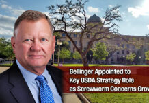 USDA Taps Texas A&M Regent John Bellinger to Lead New World Screwworm Fight