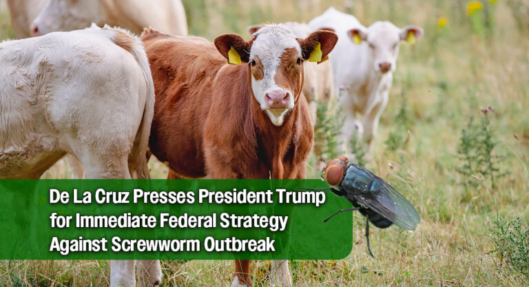 Valley Congresswoman Demands ‘Whole-of-Government’ Action to Halt Flesh-Eating Screwworm Outbreak