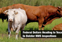Gov. Abbott Secures Federal Funds to Boost Texas NWS Inspection Capabilities