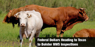 Gov. Abbott Secures Federal Funds to Boost Texas NWS Inspection Capabilities