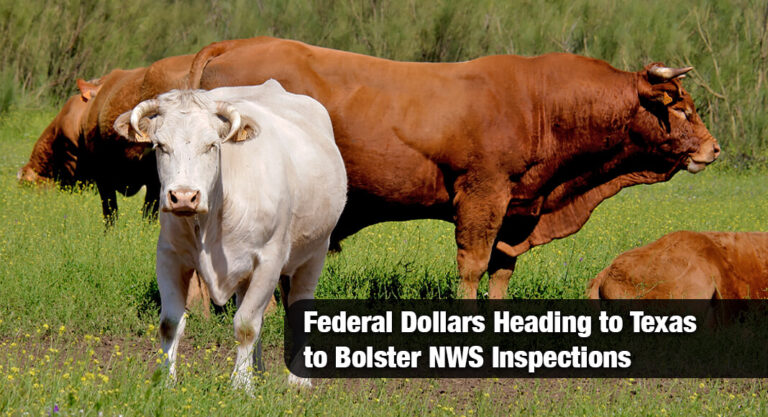 Gov. Abbott Secures Federal Funds to Boost Texas NWS Inspection Capabilities