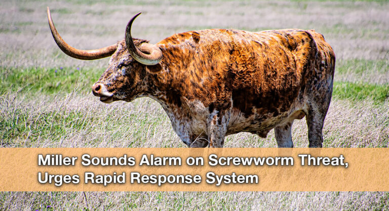 Texas Agriculture Commissioner Calls for Urgent SWASS Action to Combat Screwworm Outbreak