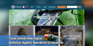 Texas Launches Centralized Hub for New World Screwworm Resources and Updates