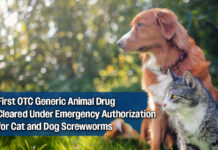 FDA Fast-Tracks OTC Generic Pill Nitenpyram to Fight Deadly Screwworm in Pets