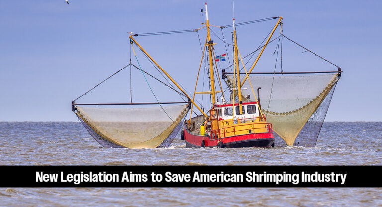 Bipartisan Senate Coalition Introduces Bill to Shield U.S. Shrimpers
