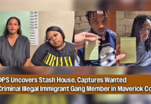 DPS Uncovers Stash House, Captures Wanted Criminal Illegal Immigrant Gang Member