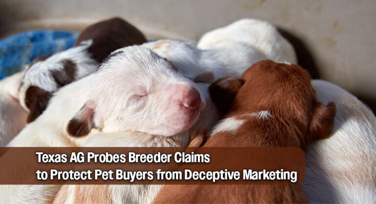 Texas AG Investigates Online Puppy Seller over Misleading Health Claims