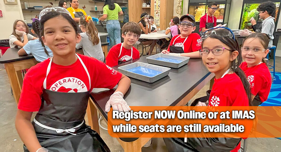 Operation Imagination Summer Camp is gearing up for some incredible camps in July! Image courtesy of IMAS