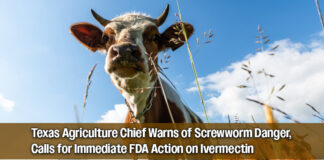 Texas Pushes for FDA Approval of Ivermectin in Feed to Fight Invasive Screwworm