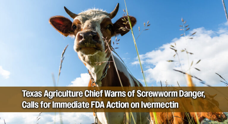 Texas Pushes for FDA Approval of Ivermectin in Feed to Fight Invasive Screwworm