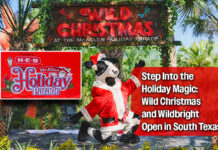Wild Christmas and Wildbright Launch Holiday Season with New Local Experiences