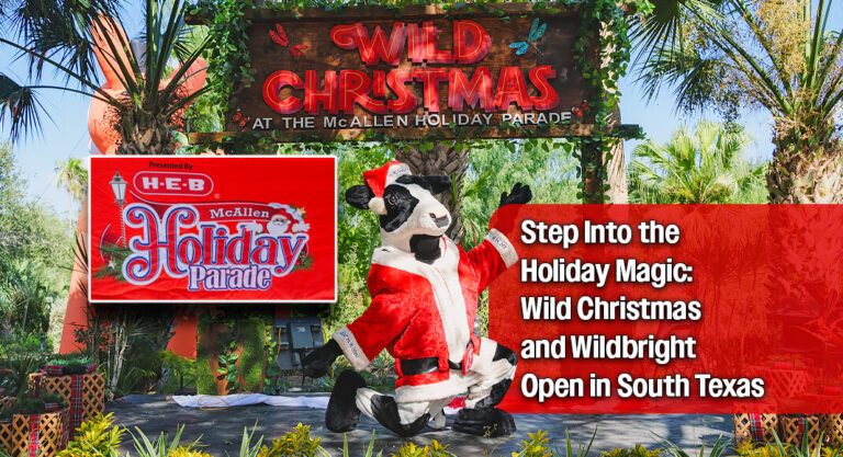 Wild Christmas and Wildbright Launch Holiday Season with New Local Experiences