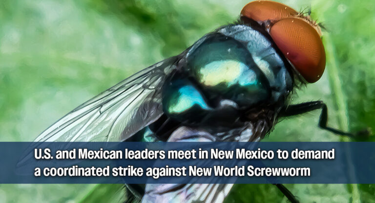 Binational Summit to Halt Flesh-Eating Screwworm Outbreak Convened in New Mexico