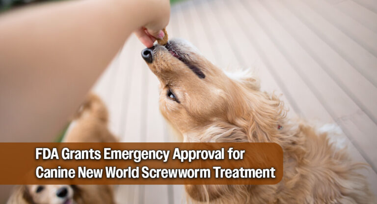 FDA Issues Emergency Use Authorization for Drug to Treat New World Screwworm in Dogs and Puppies