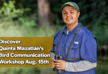 Discover the Secret Language of Birds at Quinta Mazatlán, Aug. 15th