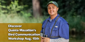 Discover the Secret Language of Birds at Quinta Mazatlán, Aug. 15th