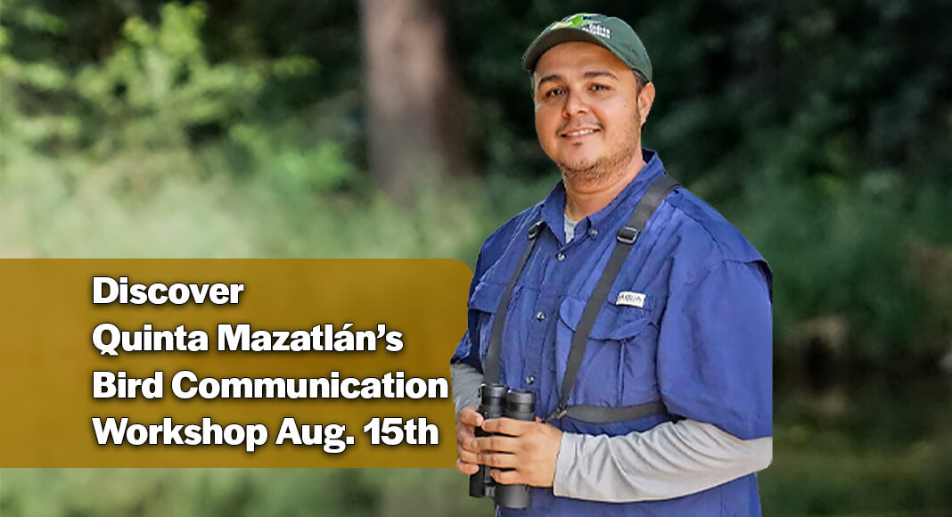 Join Isidro Montemayor Jr. at Quinta Mazatlán on August 15 to learn how to identify birds by their songs and calls, and return on August 29 to discover how the free eBird app can enhance your birding adventures while contributing to bird conservation. Courtesy image