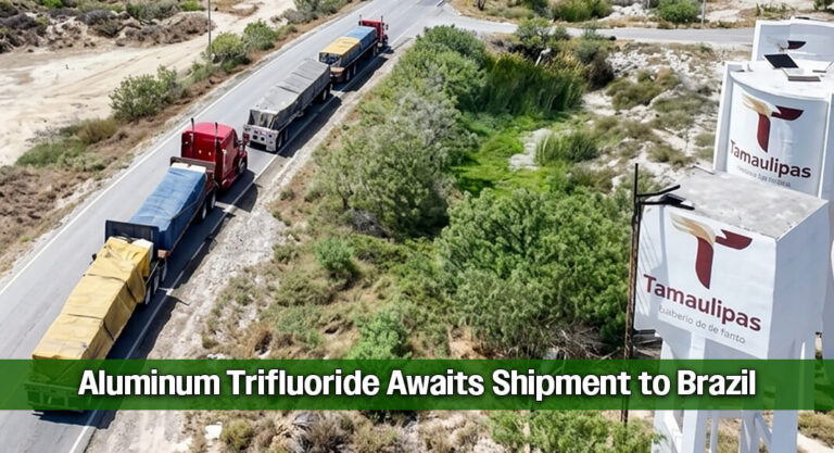 Orbia Cargo Starts Regular Operations at Matamoros Port