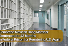 U.S. Courts Sentence Mexican Gang Member Following Repeated Illegal Reentries