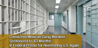 U.S. Courts Sentence Mexican Gang Member Following Repeated Illegal Reentries