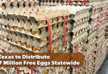 Paxton Announces 7-Million Egg Statewide Giveaway
