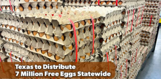 Paxton Announces 7-Million Egg Statewide Giveaway
